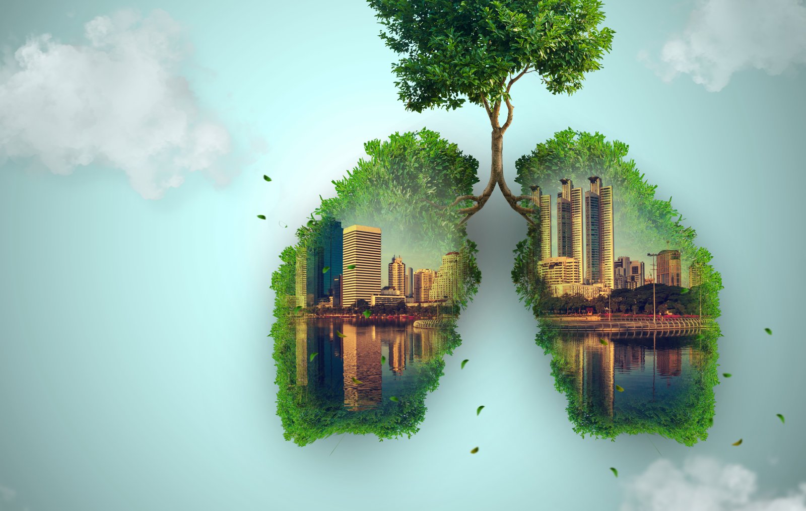 Winlaanz Pharma Product